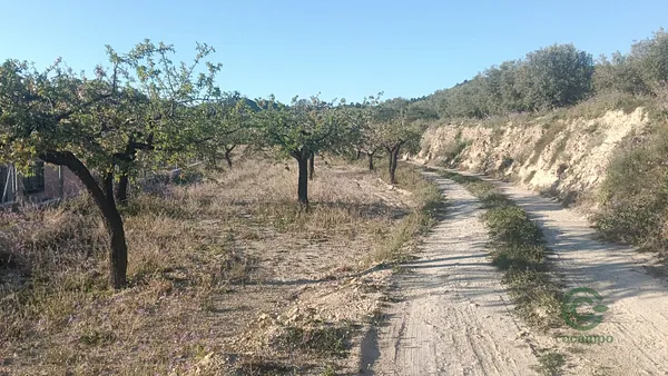 Finca rústica de 0,66 ha en venta en Alicante