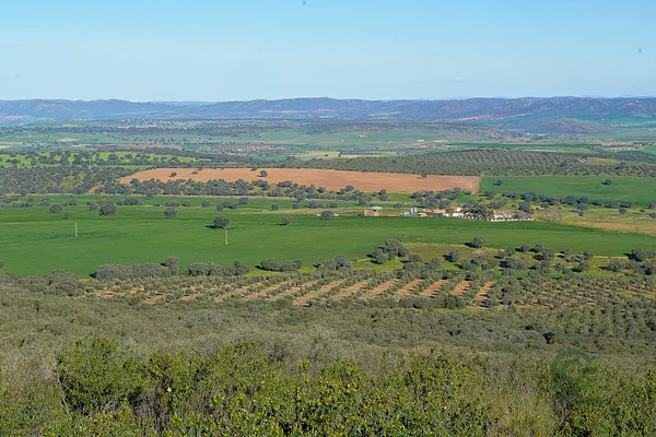 Spot image