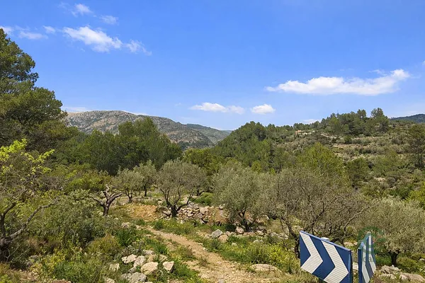Spot image