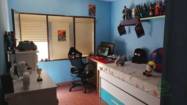 Spot image