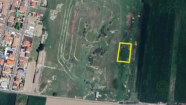 Spot image