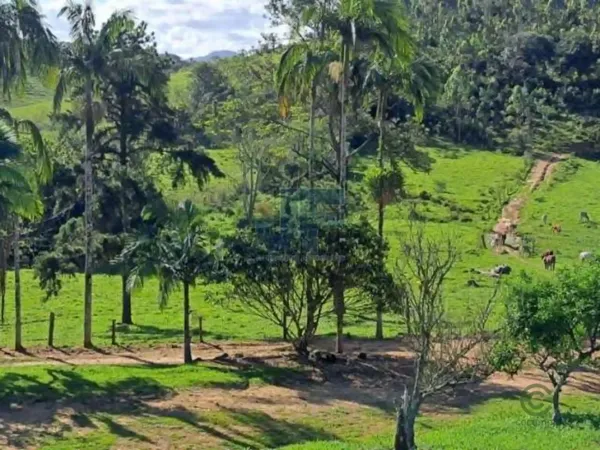 Fazenda rustica de 16 ha para venda em Santa catarina