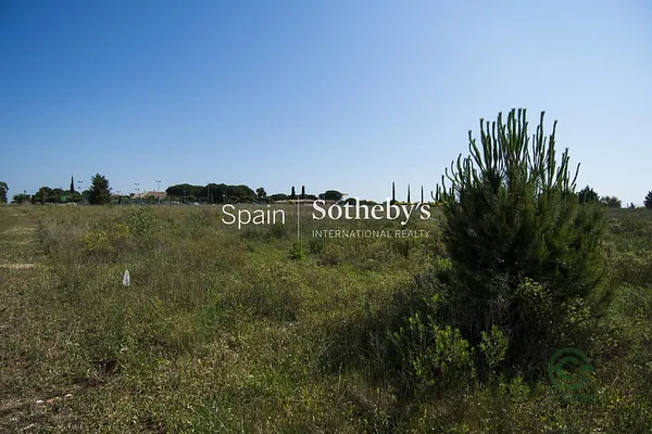 Spot image