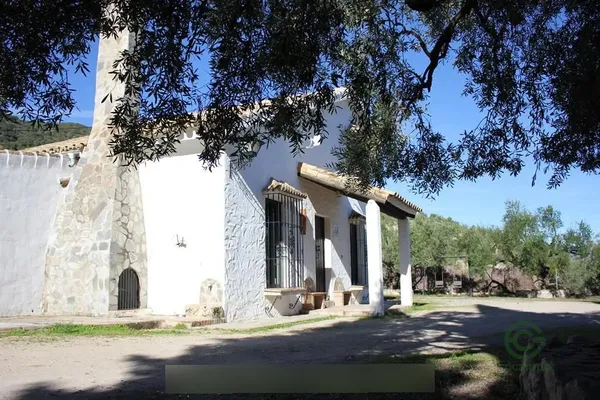 Spot image