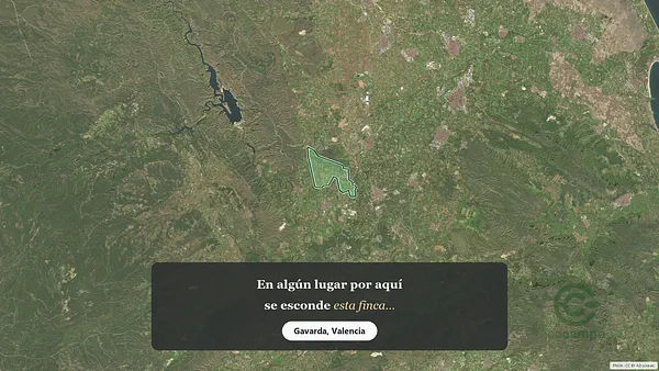Spot image