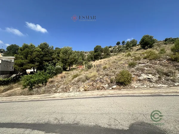 Spot image