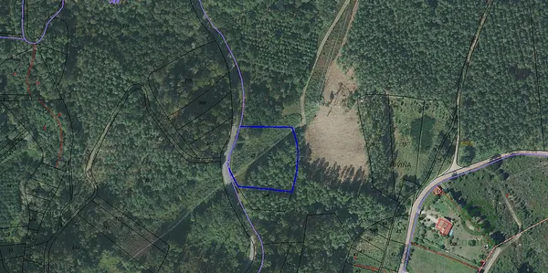 Finca forestal de 0,46 ha en venta en Lousame, La coruna