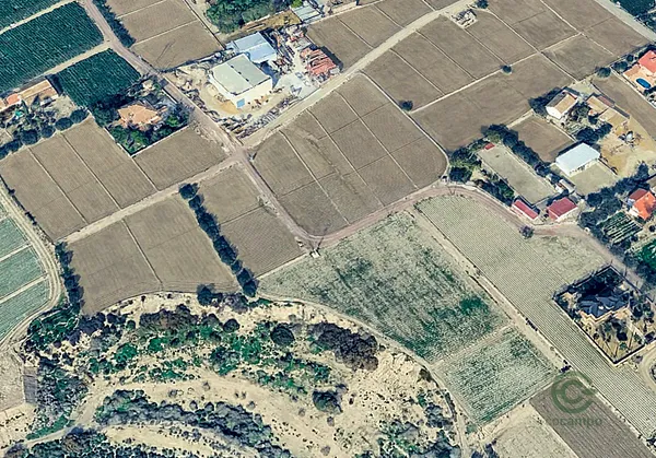 Spot image