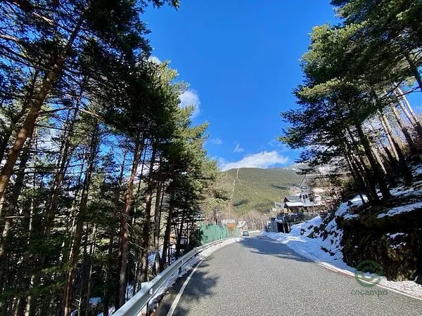 Spot image