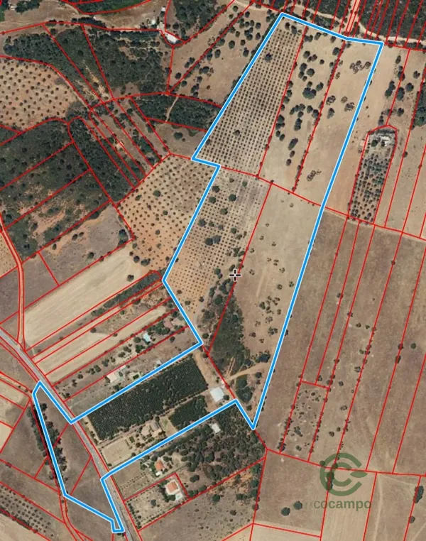 Spot image