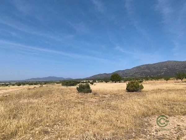 Spot image