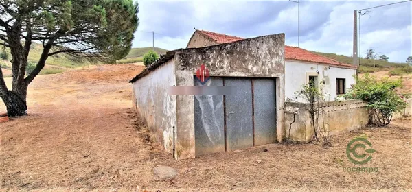 Spot image