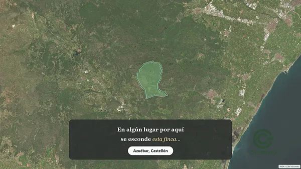 Spot image