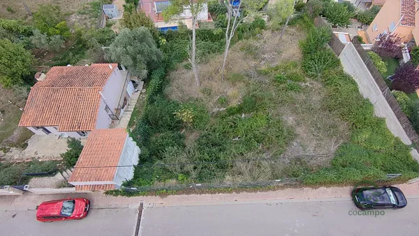 Spot image