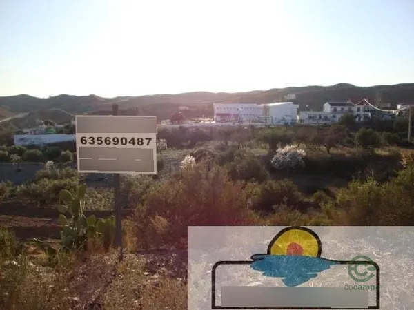 Spot image