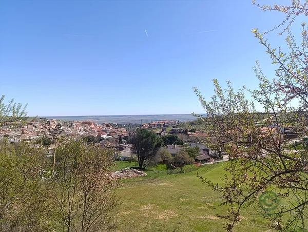 Spot image