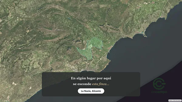 Spot image