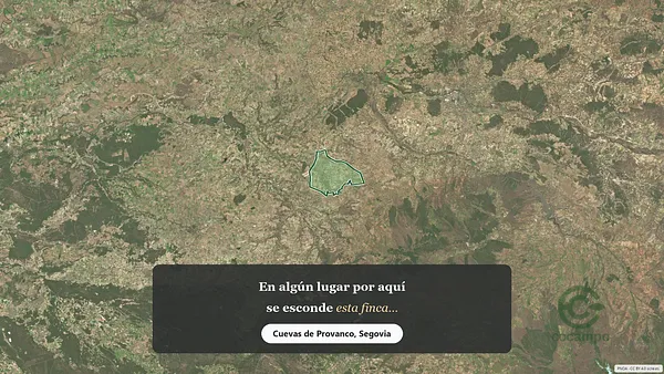 Spot image