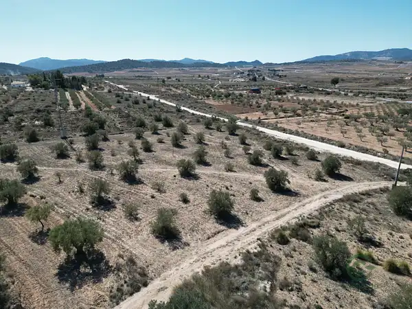 Spot image