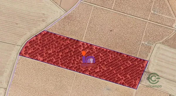 Finca rústica de 3130 ha en venta en Valdepenas, Ciudad real