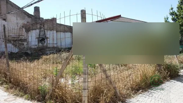 Spot image