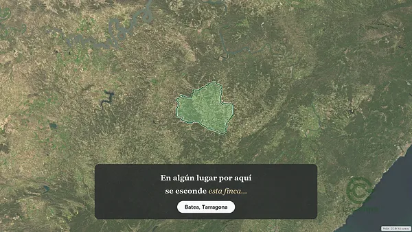 Spot image