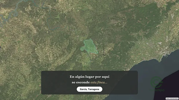 Spot image