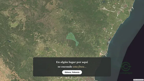 Spot image