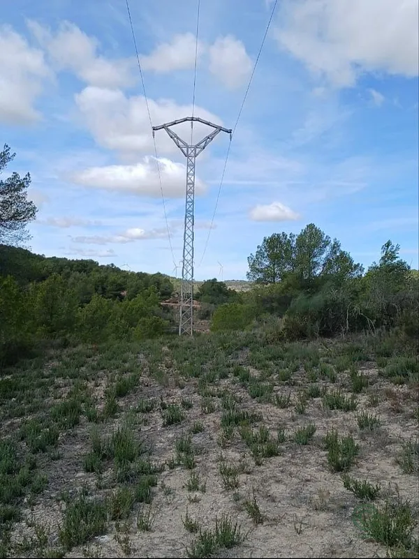 Spot image