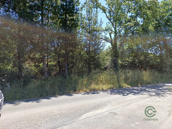 Finca rústica de 0,4646 ha en venta en Outeiro de Rei, Lugo