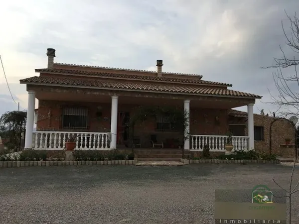Spot image