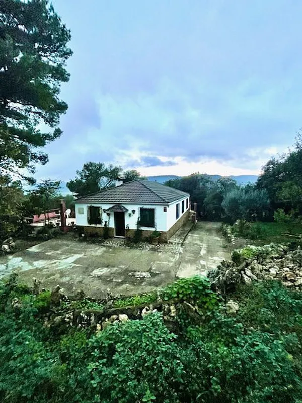 Spot image
