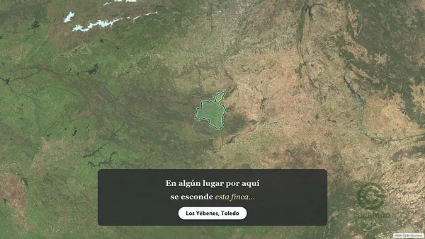 Spot image