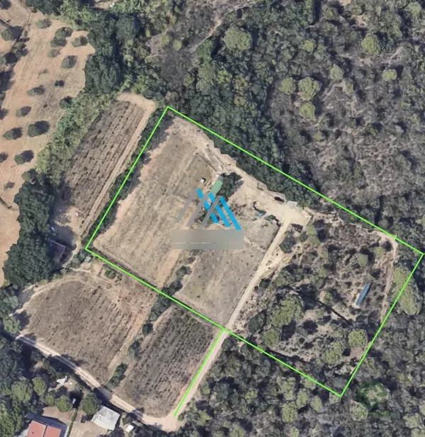 Spot image