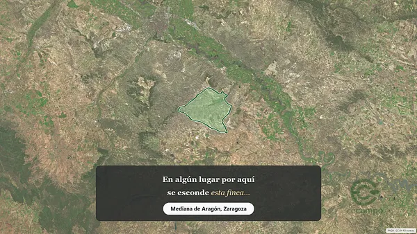 Spot image