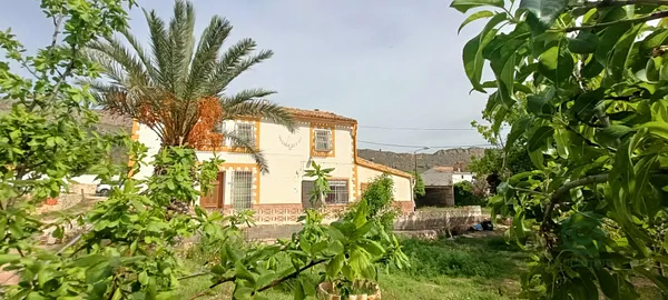 Spot image