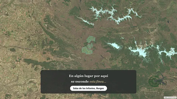 Spot image