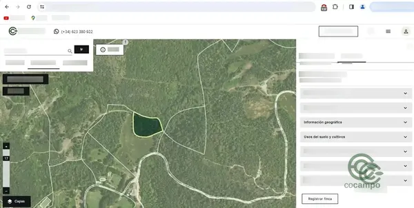 Spot image