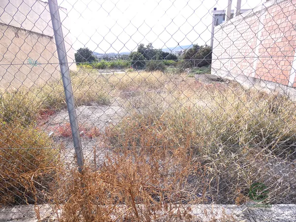 Spot image