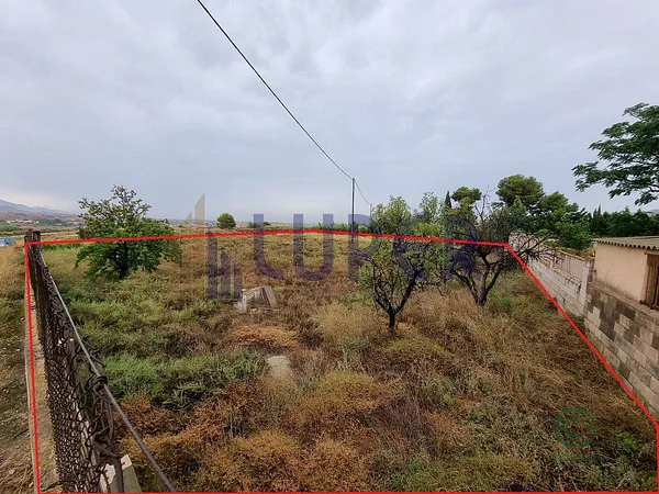 Spot image