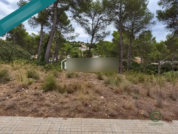 Spot image