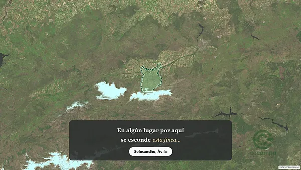 Spot image