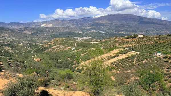 Spot image
