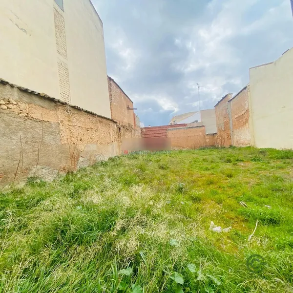 Spot image