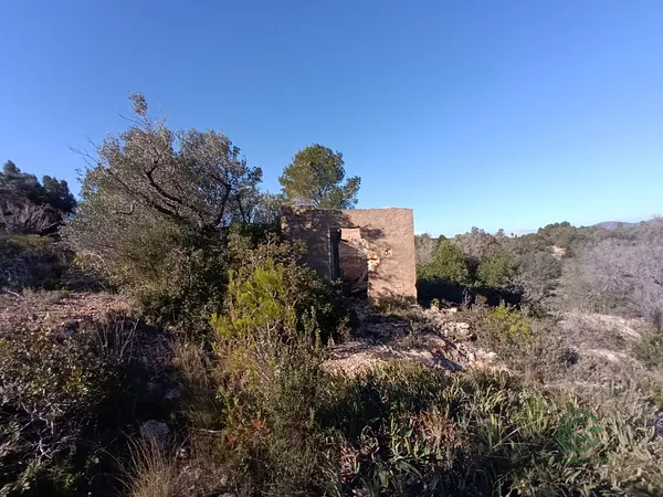 Spot image