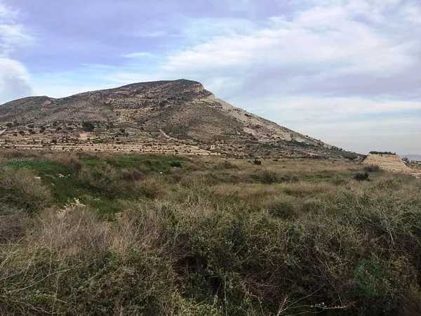 Spot image