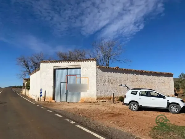 Spot image