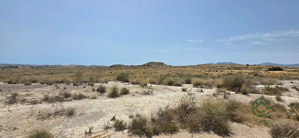Spot image