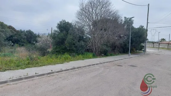 Spot image