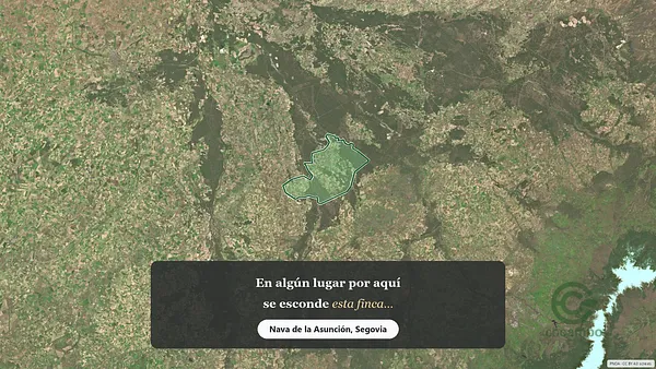 Spot image
